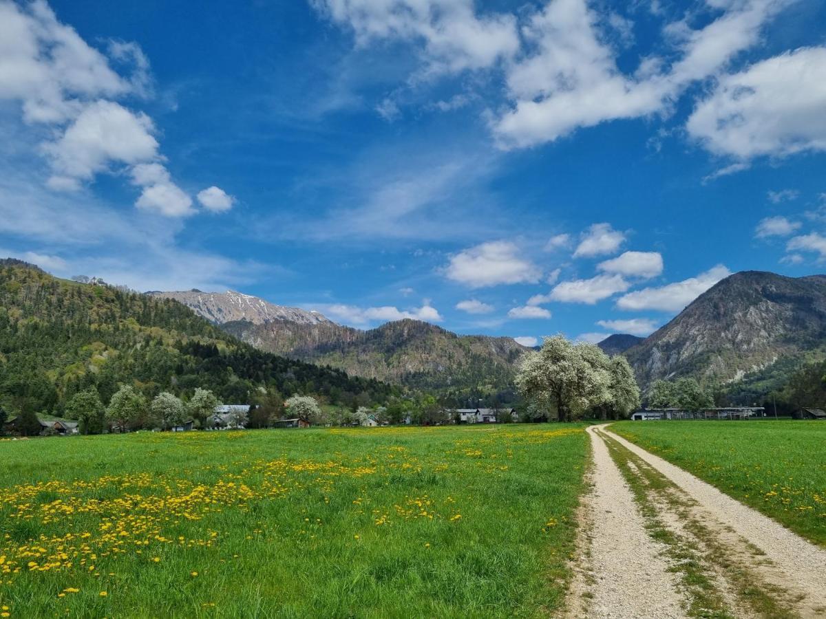 Apartma Ana In Manca Begunje na Gorenjskem Dış mekan fotoğraf